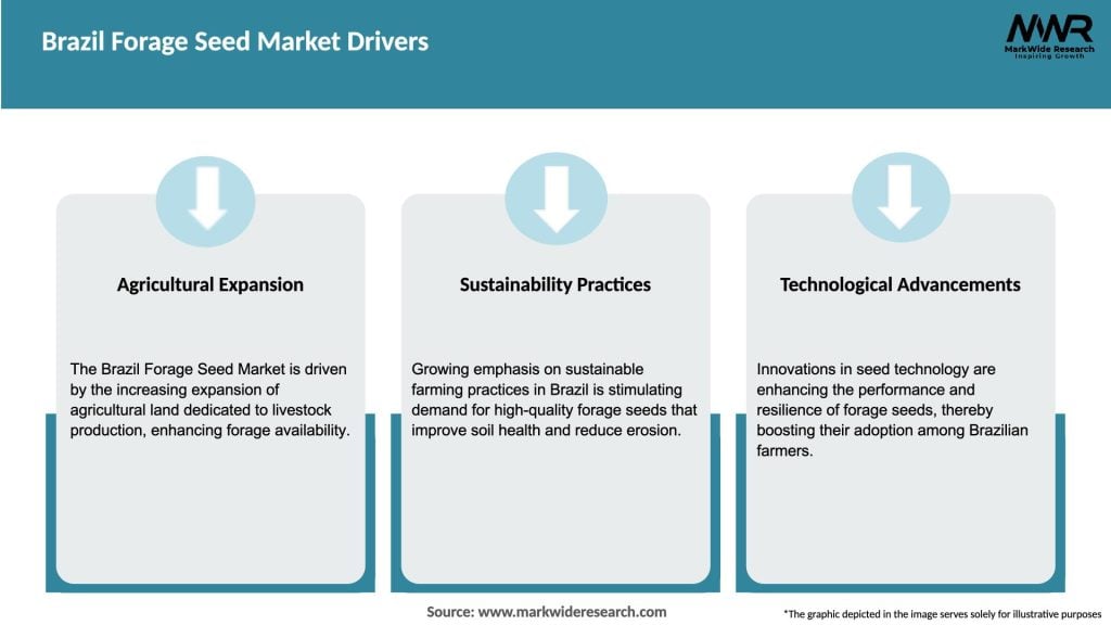 Brazil Forage Seed Market Drivers