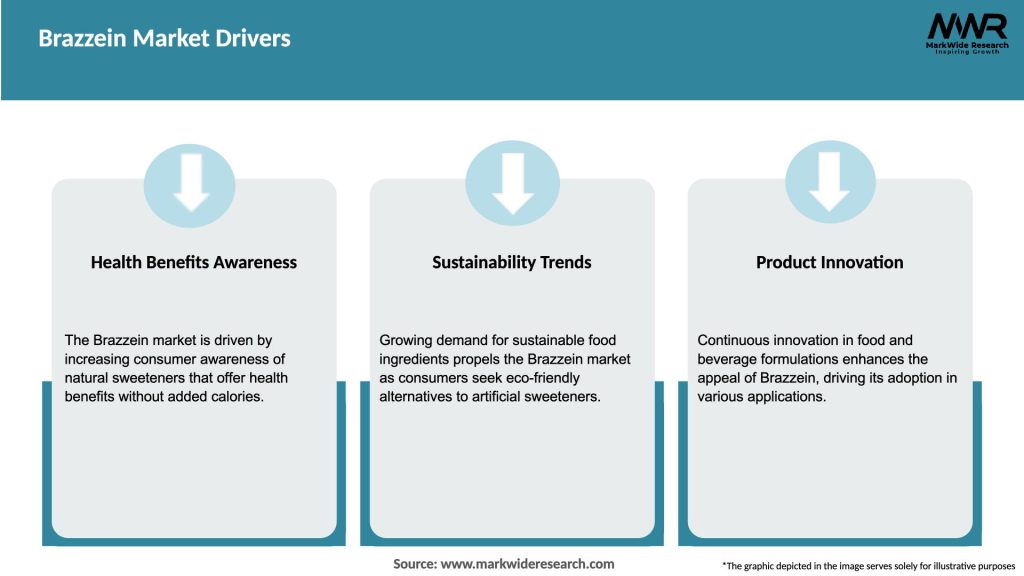 Brazzein Market Drivers
