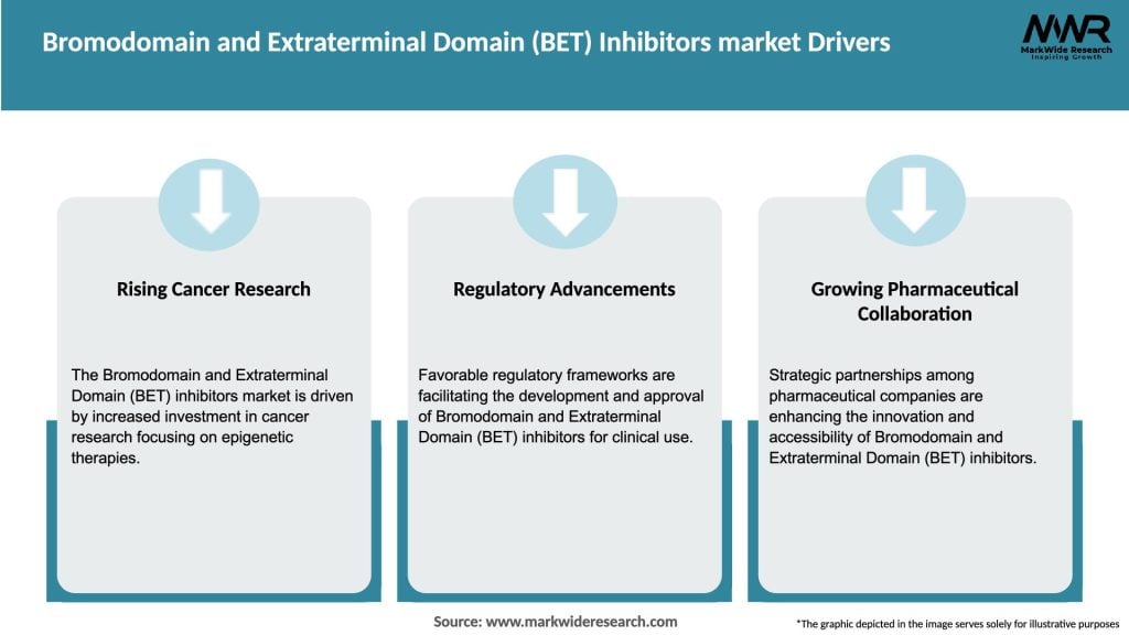 Bromodomain and Extraterminal Domain (BET) Inhibitors market Drivers