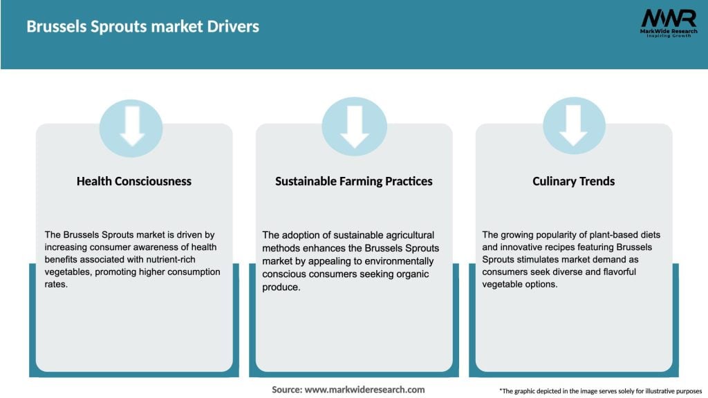 Brussels Sprouts market Drivers