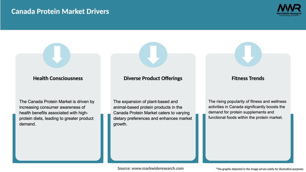 Canada Protein Market Drivers