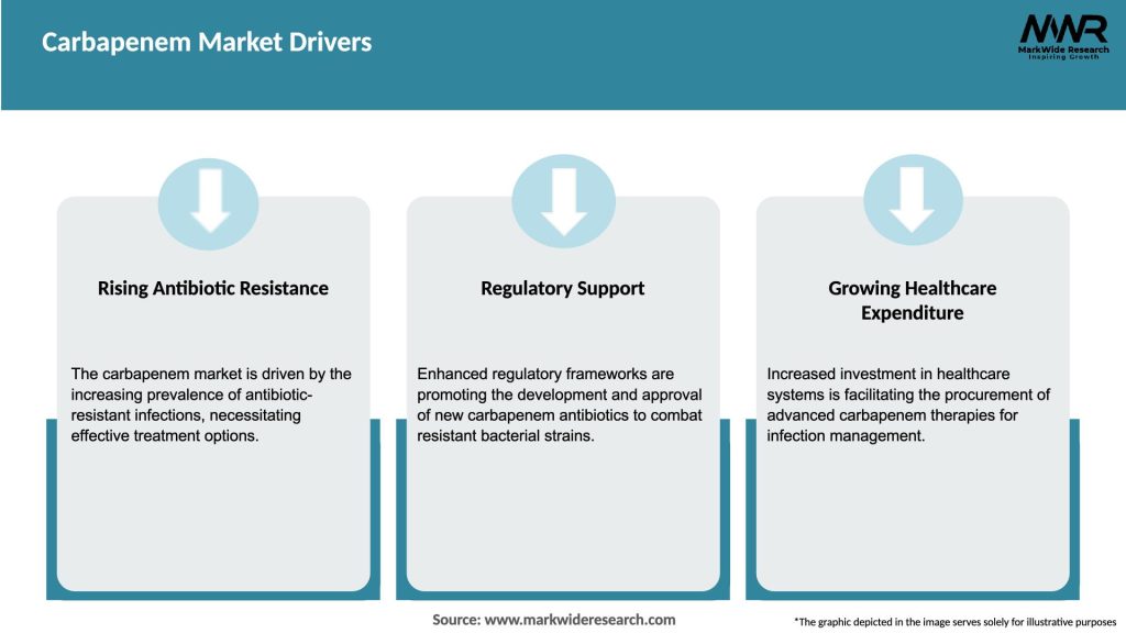 Carbapenem Market Drivers