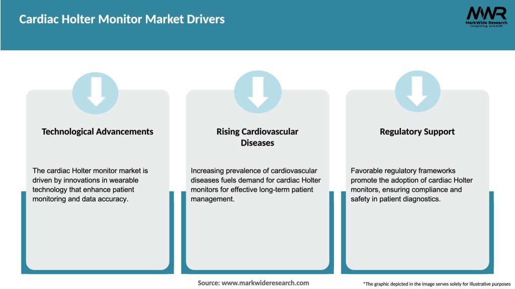 Cardiac Holter Monitor Market Drivers