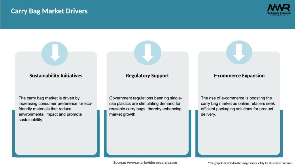 Carry Bag Market Drivers