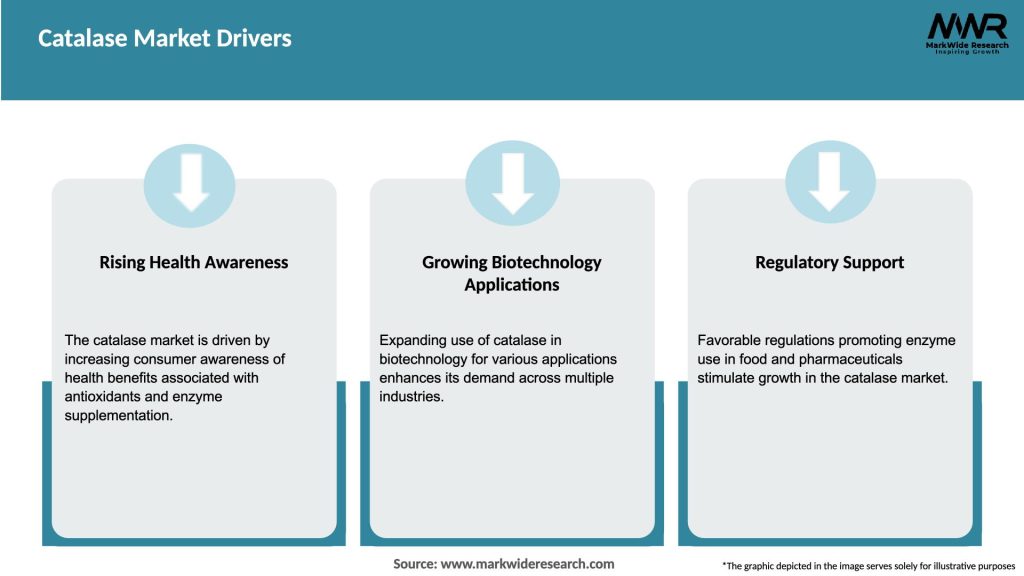 Catalase Market Drivers
