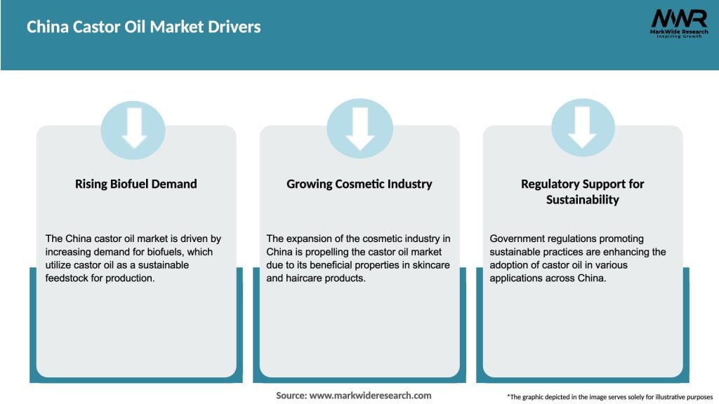 China Castor Oil Market Drivers