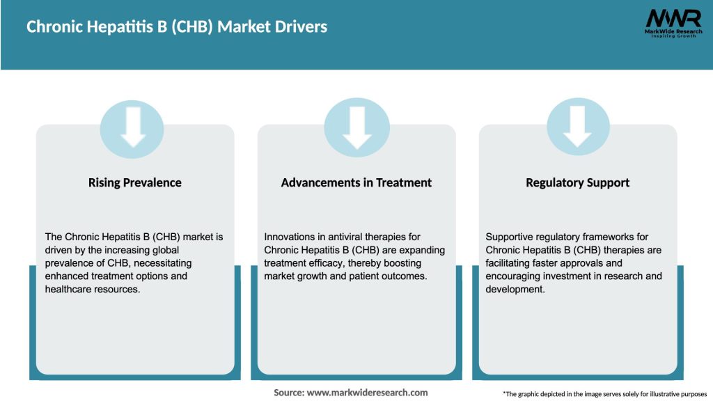Chronic Hepatitis B (CHB) Market Drivers