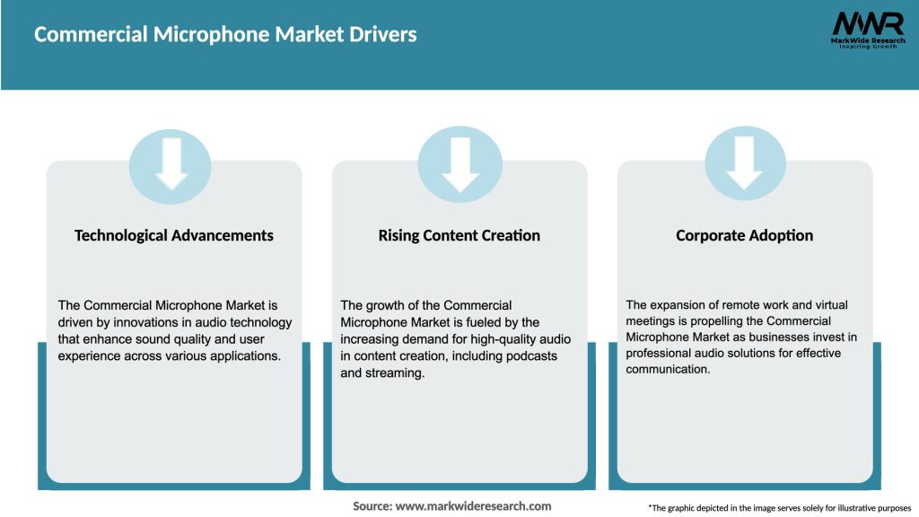 Commercial Microphone Market Segmentation