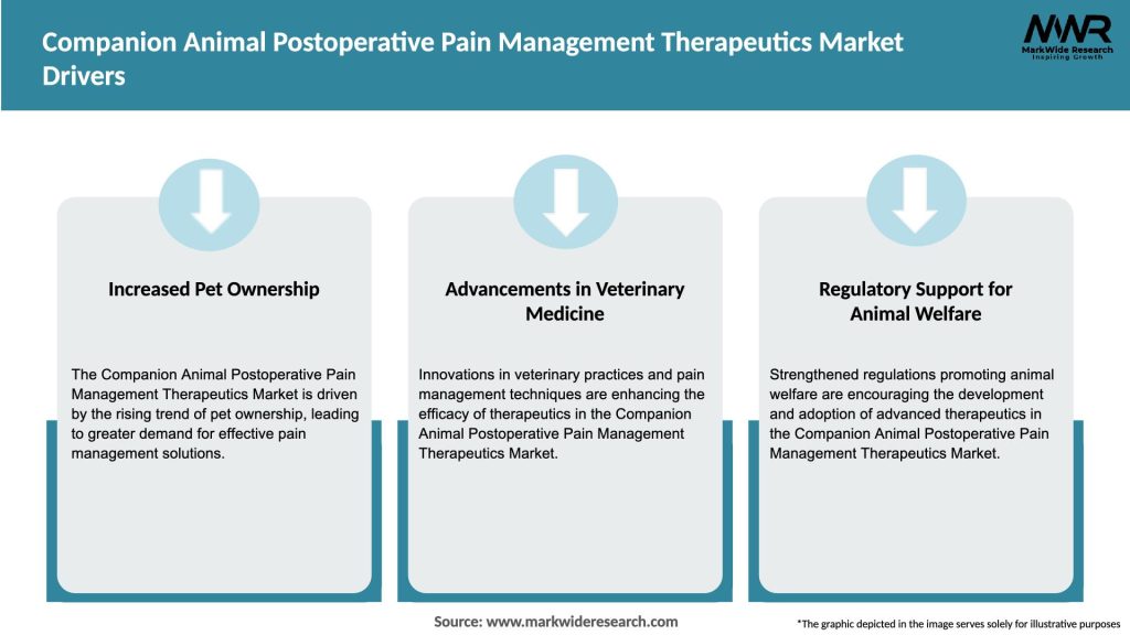 Companion Animal Postoperative Pain Management Therapeutics Market Drivers