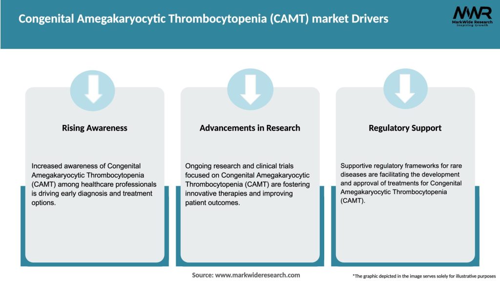 Congenital Amegakaryocytic Thrombocytopenia (CAMT) market Drivers