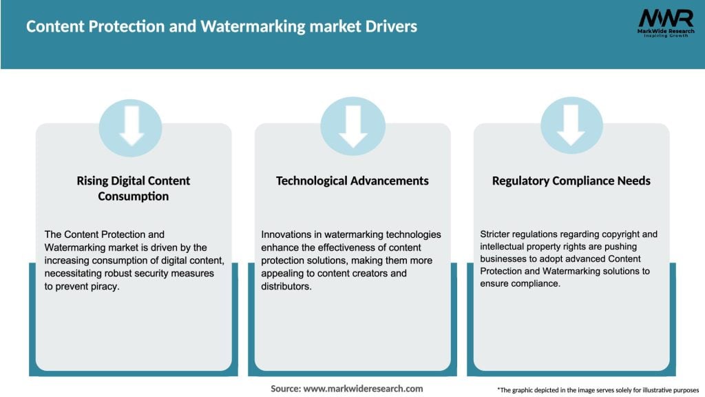 Content Protection and Watermarking market Drivers