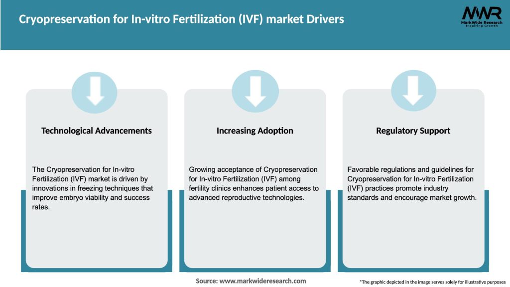 Cryopreservation for In-vitro Fertilization (IVF) market Drivers