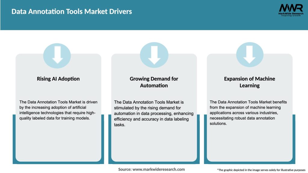 Data Annotation Tools Market Drivers