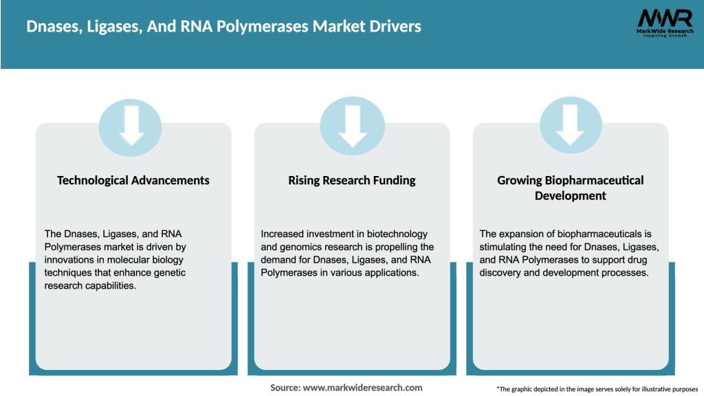 Dnases, Ligases, And RNA Polymerases Market Drivers