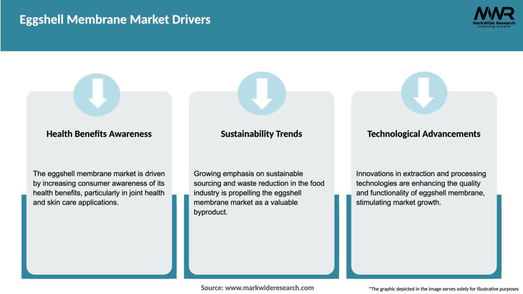 Eggshell Membrane Market Drivers