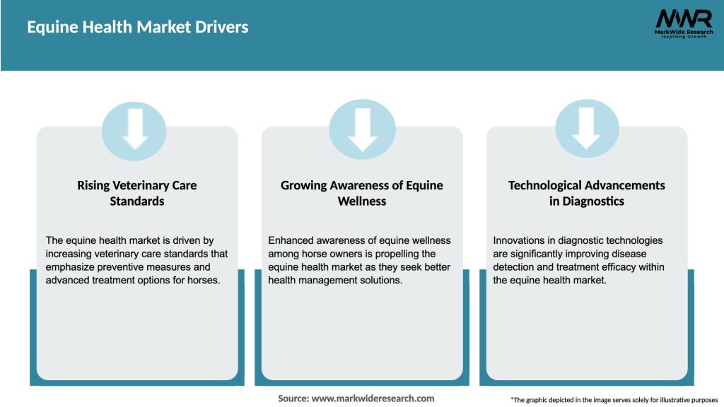 Equine Health Market Drivers