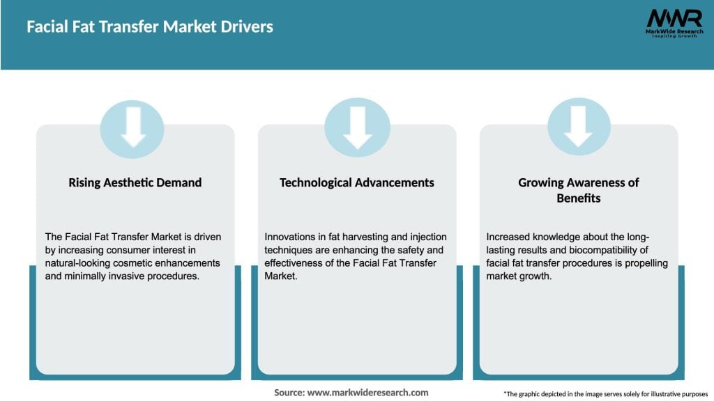 Facial Fat Transfer Market Drivers