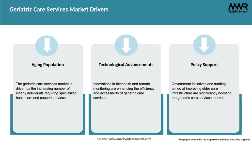 Geriatric Care Services Market Drivers