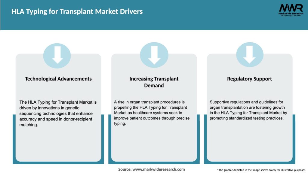HLA Typing for Transplant Market Drivers