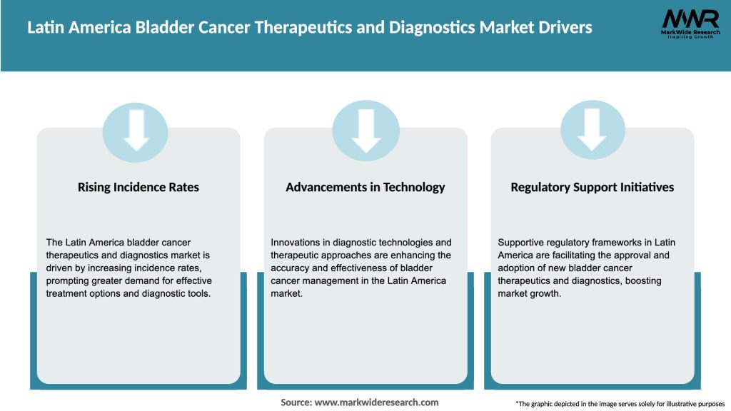 Latin America Bladder Cancer Therapeutics and Diagnostics Market Drivers
