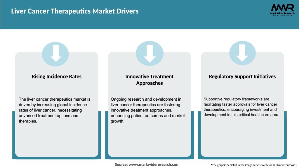Liver Cancer Therapeutics Market Drivers