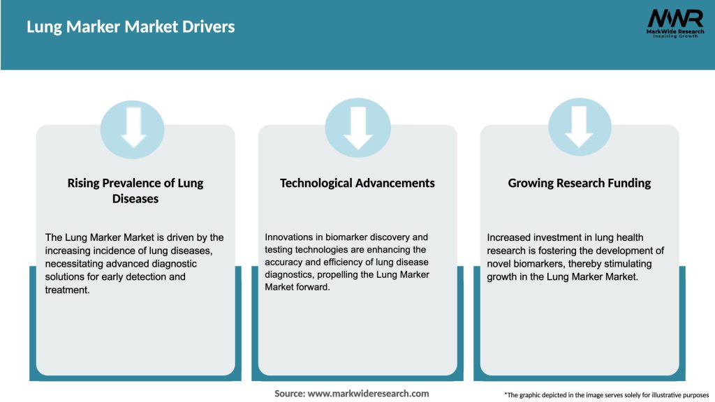 Lung Marker Market Drivers