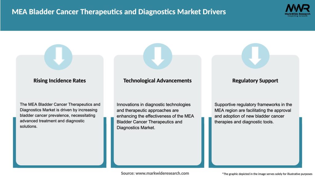 MEA Bladder Cancer Therapeutics and Diagnostics Market Drivers