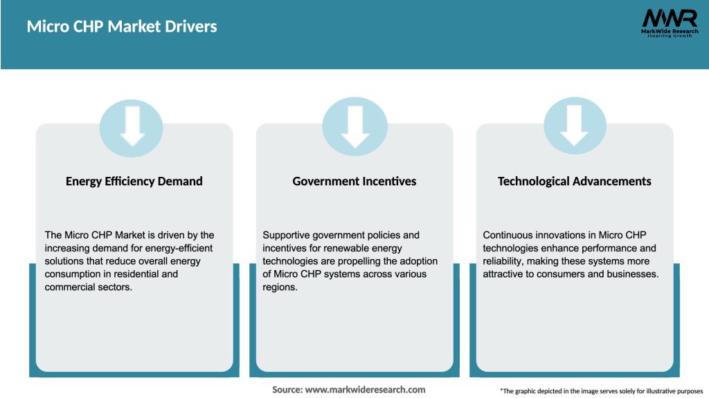Micro CHP Market Drivers