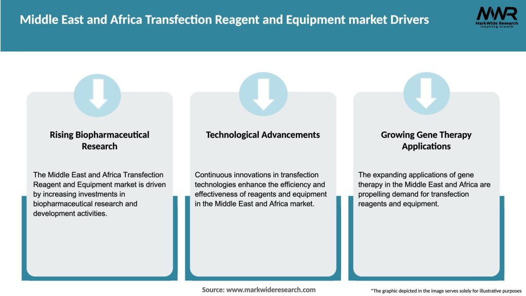 Middle East and Africa Transfection Reagent and Equipment market Drivers
