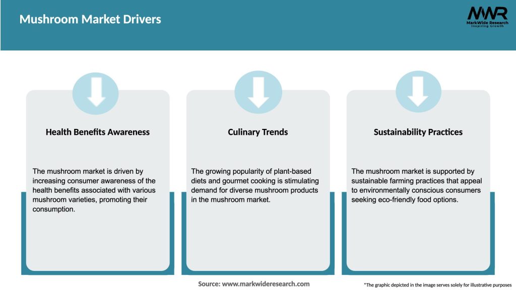 Mushroom Market Drivers