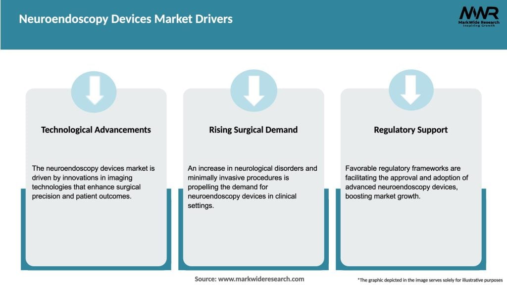 Neuroendoscopy Devices Market Drivers