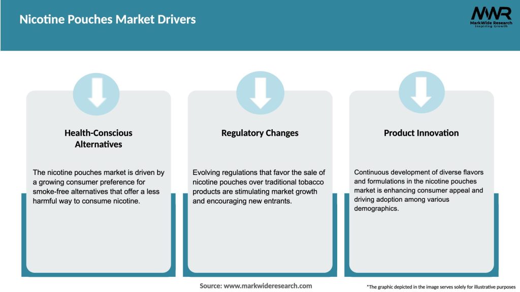 Nicotine Pouches Market Drivers