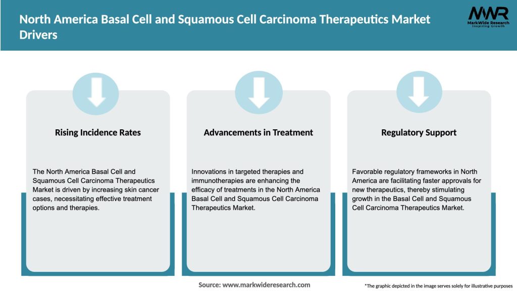 North America Basal Cell and Squamous Cell Carcinoma Therapeutics Market Drivers