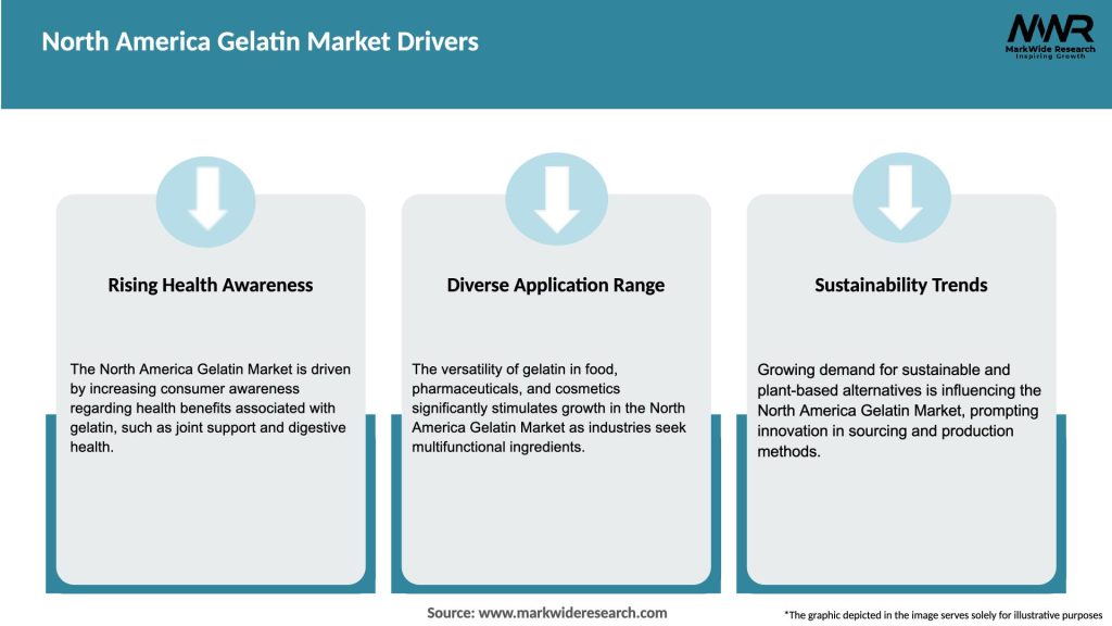 North America Gelatin Market Drivers