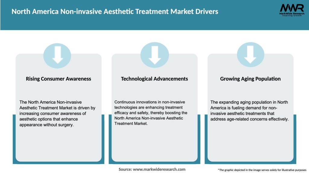 North America Non-invasive Aesthetic Treatment Market Drivers