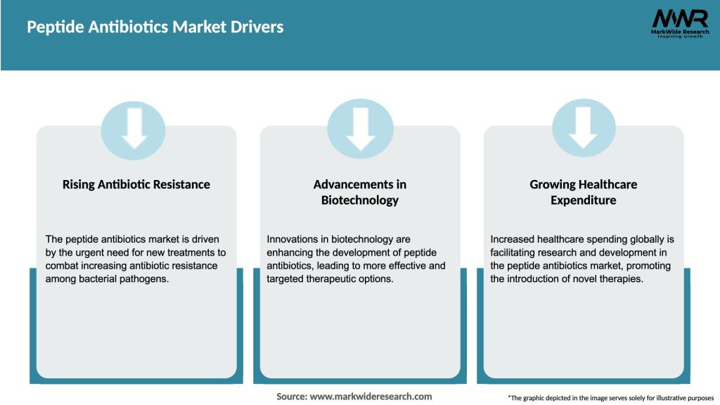 Peptide Antibiotics Market Drivers