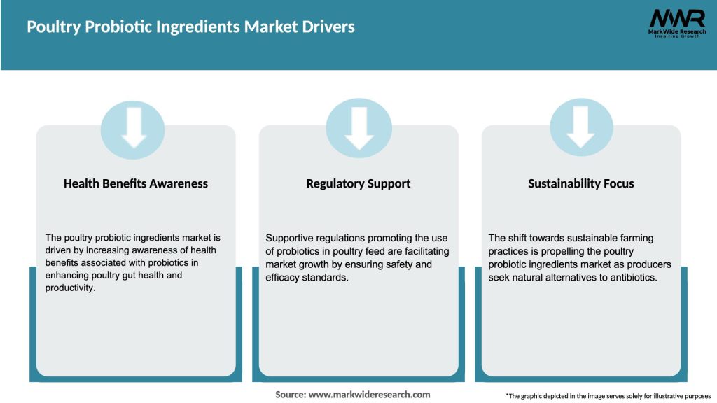 Poultry Probiotic Ingredients Market Drivers