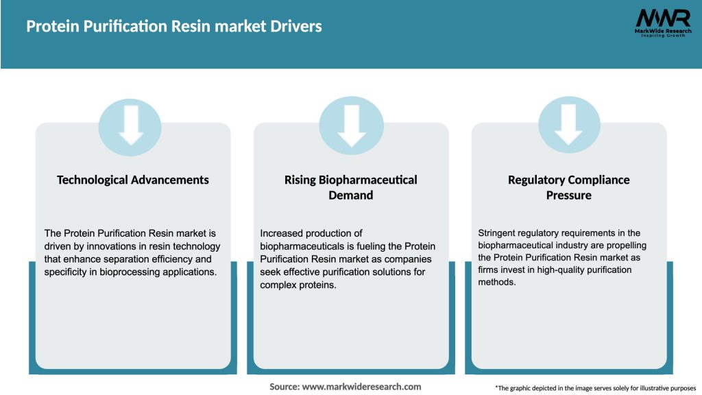 Protein Purification Resin market Drivers