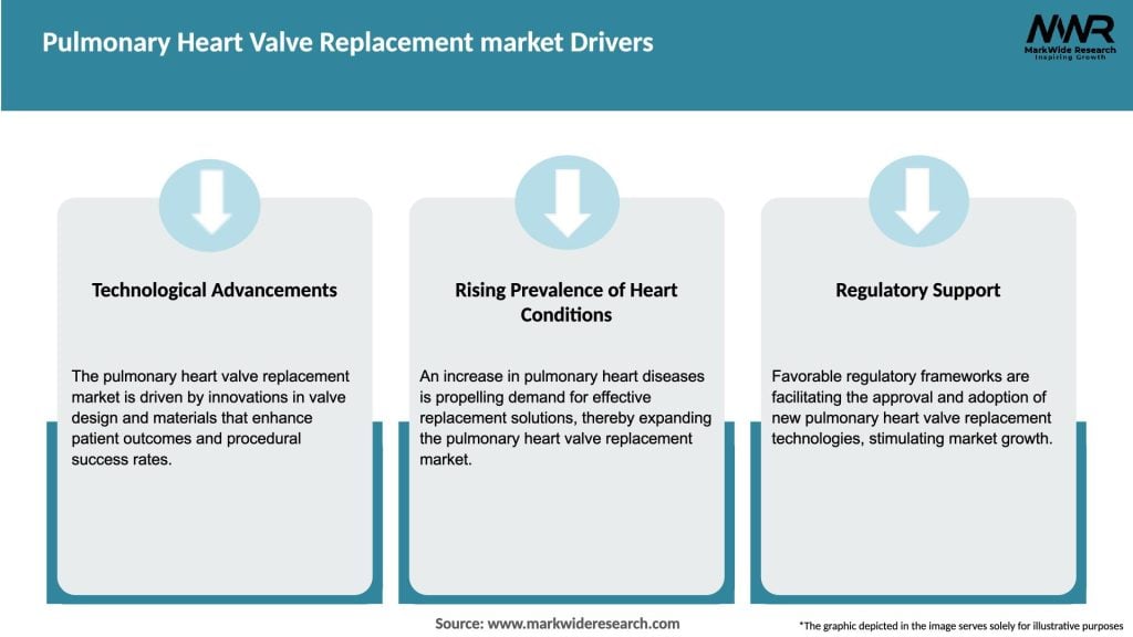 Pulmonary Heart Valve Replacement market Drivers