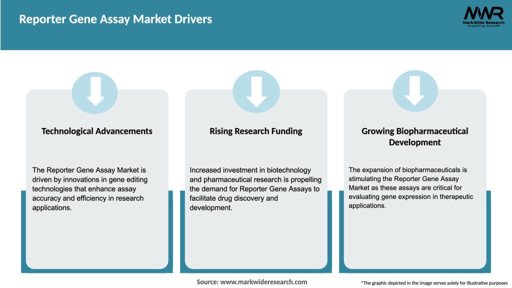 Reporter Gene Assay Market Drivers