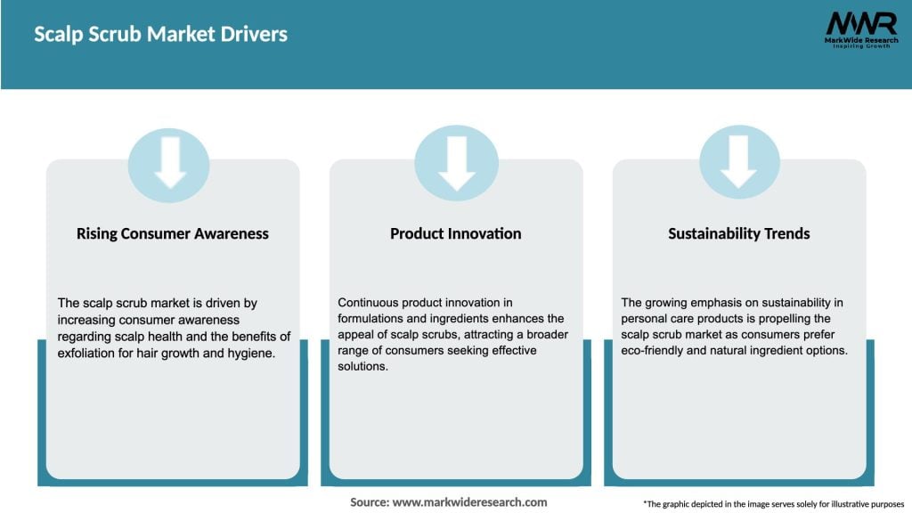 Scalp Scrub Market Drivers