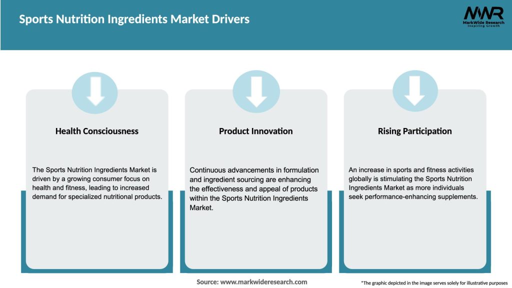 Sports Nutrition Ingredients Market Drivers
