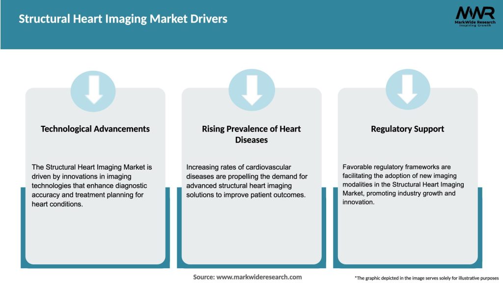 Structural Heart Imaging Market Drivers