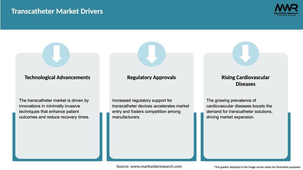 Transcatheter Market Drivers