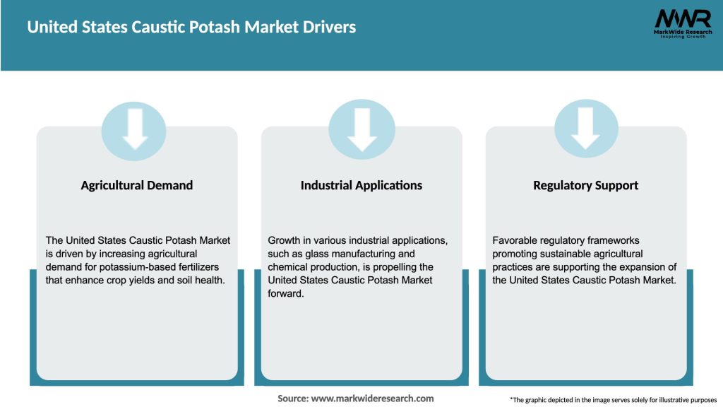 United States Caustic Potash Market Drivers