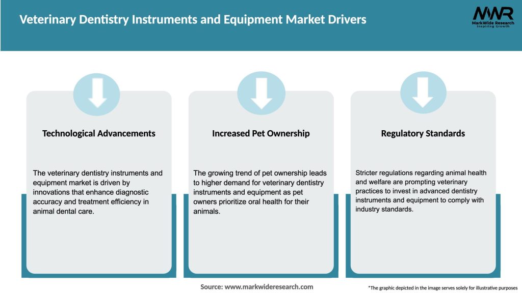 Veterinary Dentistry Instruments and Equipment Market Drivers