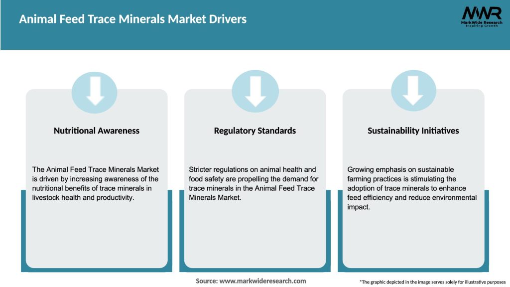 Animal Feed Trace Minerals Market Drivers