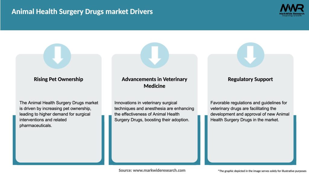 Animal Health Surgery Drugs market Drivers