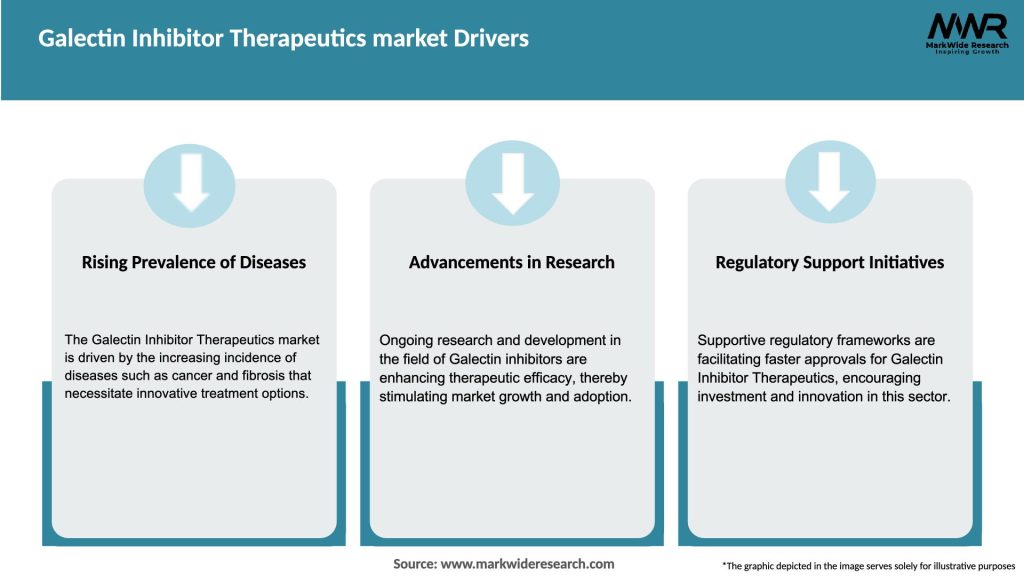 Galectin Inhibitor Therapeutics market Drivers