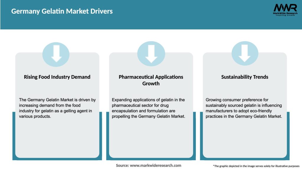 Germany Gelatin Market Drivers